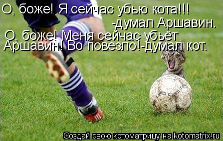 О, боже! Я сейчас убью кота!!! -думал Аршавин. О, боже! Меня сейчас убьёт Аршавин! Во повезло!-думал... Котоматрица: О, боже! Я сейчас убью кота!!! -думал Аршавин. О, боже! Меня сейчас убьёт Аршавин! Во повезло!-думал кот.