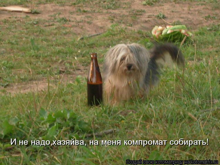И не надо,хазяйва, на меня компромат собирать!... Котоматрица: И не надо,хазяйва, на меня компромат собирать!