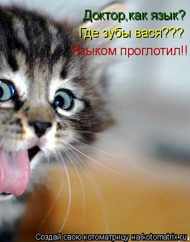 Доктор,как язык? Где зубы вася??? Языком проглотил!!... Котоматрица: Доктор,как язык? Где зубы вася??? Языком проглотил!!