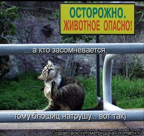 ... а кто засомневается, тому блошиц натрушу... вот так)... Котоматрица: ... а кто засомневается, тому блошиц натрушу... вот так)