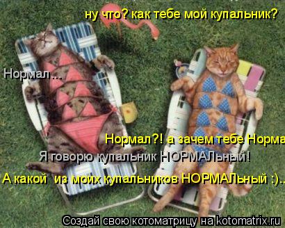 ну что? как тебе мой купальник? Нормал... Нормал?! а зачем тебе Нормал? Я говорю купальник НОРМАЛьный... Котоматрица: ну что? как тебе мой купальник? Нормал... Нормал?! а зачем тебе Нормал? Я говорю купальник НОРМАЛьный! А какой из моих купальников НОРМАЛьный :