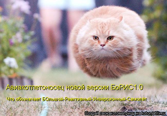 Авиакотлетоносец новой версии БоРИС1.0 Что обозначает БОльшой-Реактивный-Инверсионный-Самолёт... Котоматрица: Авиакотлетоносец новой версии БоРИС1.0 Что обозначает БОльшой-Реактивный-Инверсионный-Самолёт