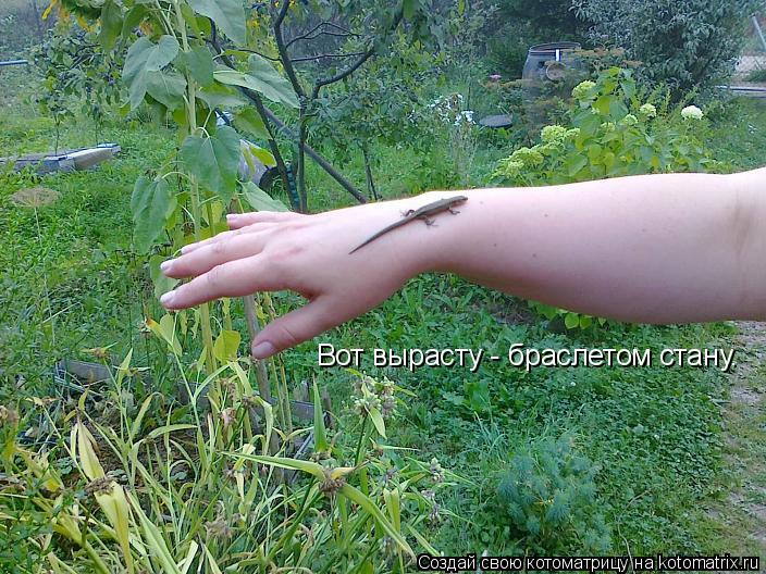 Вот вырасту - браслетом стану.... Котоматрица: Вот вырасту - браслетом стану.