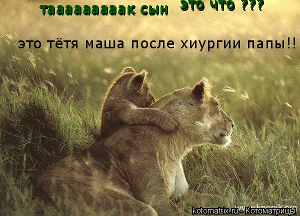 Котоматрица: тааааааааак сын  тааааааааак сын  это что ??? это что ??? это тётя маша после хиургии папы!!