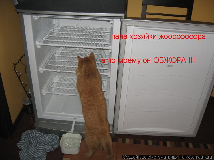 Котоматрица: папа хозяйки жоооооооора а по-моему он ОБЖОРА !!!
