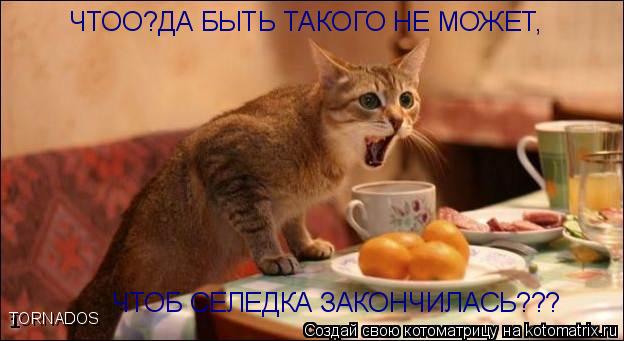 Котоматрица: ЧТОО?ДА БЫТЬ ТАКОГО НЕ МОЖЕТ, ЧТОБ СЕЛЕДКА ЗАКОНЧИЛАСЬ??? TORNADOS