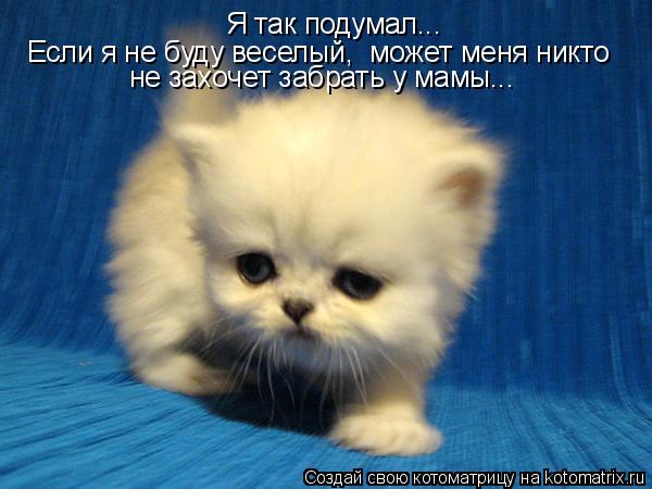 Котоматрица: Я так подумал... Если я не буду веселый,  может меня никто не захочет забрать у мамы...