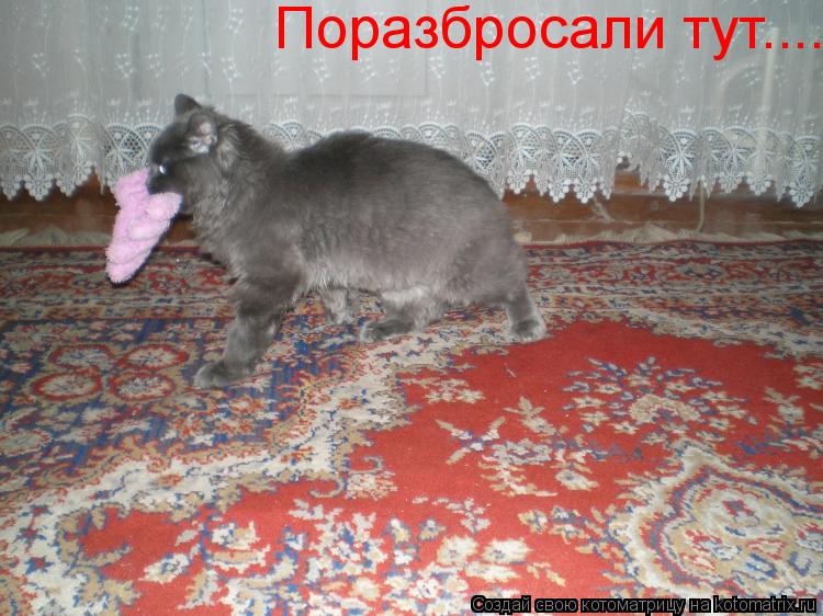 Поразбросали тут....... Котоматрица: Поразбросали тут....