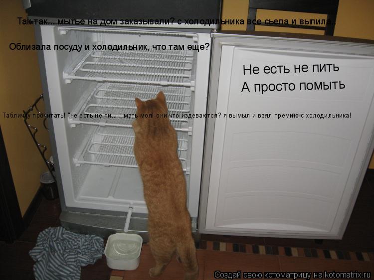 Так-так... мытье на дом заказывали? с холодильника все сьела и выпила.. Облизала посуду и холодильни... Котоматрица: Так-так... мытье на дом заказывали? с холодильника все сьела и выпила.. Облизала посуду и холодильник, что там еще? Не есть не пить А просто п