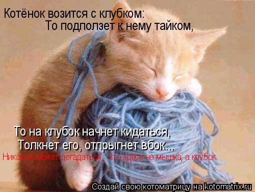Котёнок возится с клубком: То подползет к нему тайком, То на клубок начнет кидаться, Толкнет его, отп... Котоматрица: Котёнок возится с клубком: То подползет к нему тайком, То на клубок начнет кидаться, Толкнет его, отпрыгнет вбок... Hикак не может догадаться,