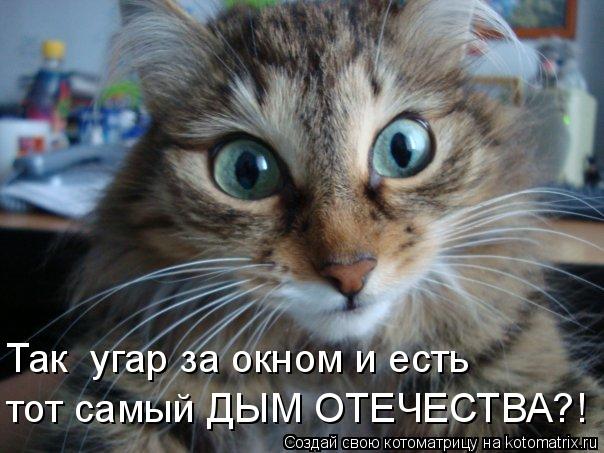 Так угар за окном и есть тот самый ДЫМ ОТЕЧЕСТВА?!... Котоматрица: Так угар за окном и есть тот самый ДЫМ ОТЕЧЕСТВА?!