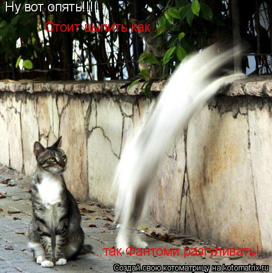 Ну вот опять!!!! Стоит выпить как ... ...так Фантоми разгуливать!... Котоматрица: Ну вот опять!!!! Стоит выпить как ... ...так Фантоми разгуливать!