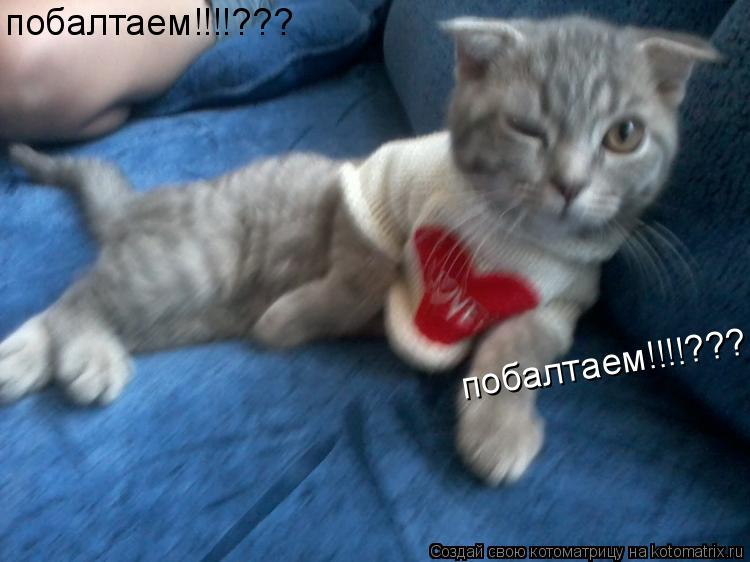 побалтаем!!!!??? побалтаем!!!!??? побалтаем!!!!???... Котоматрица: побалтаем!!!!??? побалтаем!!!!??? побалтаем!!!!???