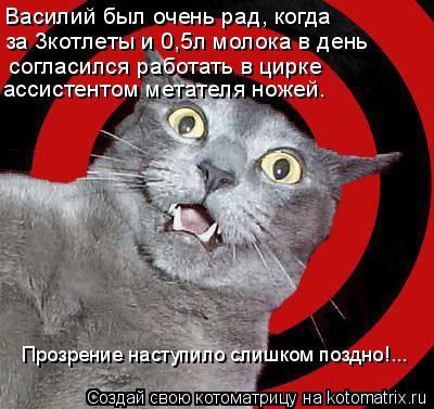 Василий был очень рад, когда за 3котлеты и 0,5л молока в день согласился работать в цирке ассистен... Котоматрица: Василий был очень рад, когда за 3котлеты и 0,5л молока в день согласился работать в цирке ассистентом метателя ножей. Прозрение наступило с