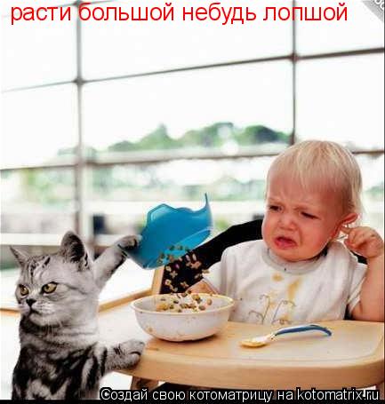 расти большой небудь лопшой... Котоматрица: расти большой небудь лопшой