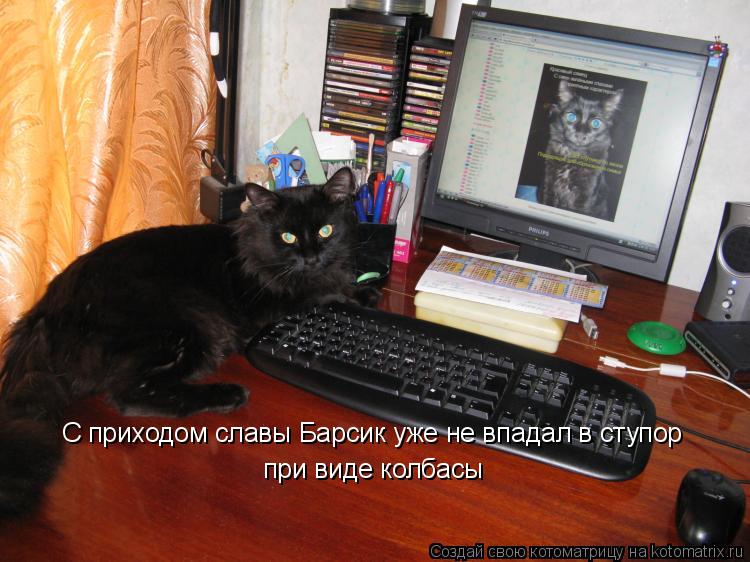 С приходом славы Барсик уже не впадал в ступор при виде колбасы... Котоматрица: С приходом славы Барсик уже не впадал в ступор при виде колбасы