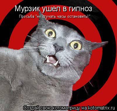 Мурзик ушел в гипноз Просьба "не стучать часы остановить!"... Котоматрица: Мурзик ушел в гипноз Просьба "не стучать часы остановить!"