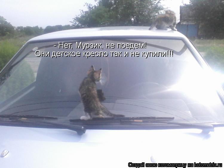 - Нет, Мурзик, не поедем! Они детское кресло так и не купили!!!... Котоматрица: - Нет, Мурзик, не поедем! Они детское кресло так и не купили!!!