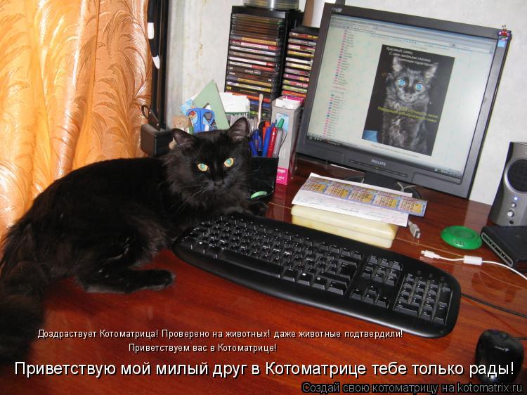 Доздраствует Котоматрица! Проверено на животных! даже животные подтвердили! Приветствуем вас в Котома... Котоматрица: Доздраствует Котоматрица! Проверено на животных! даже животные подтвердили! Приветствуем вас в Котоматрице! Приветствую мой милый друг в К