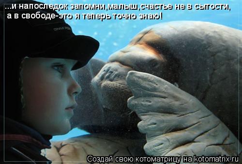 ...и напоследок запомни,малыш,счастье не в сытости, а в свободе-это я теперь точно знаю!... Котоматрица: ...и напоследок запомни,малыш,счастье не в сытости, а в свободе-это я теперь точно знаю!