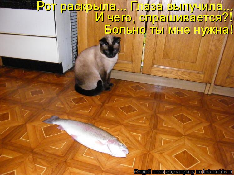 Больно ты мне нужна! И чего, спрашивается?! -Рот раскрыла... Глаза выпучила...... Котоматрица: Больно ты мне нужна! И чего, спрашивается?! -Рот раскрыла... Глаза выпучила...
