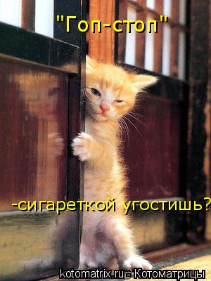 "Гоп-стоп" -сигареткой угостишь?... Котоматрица: "Гоп-стоп" -сигареткой угостишь?