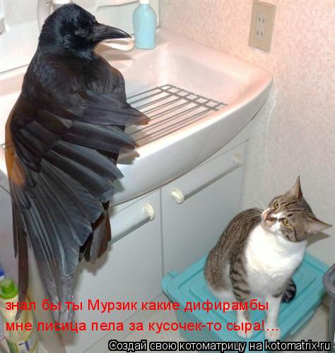 знал бы ты Мурзик какие дифирамбы мне лисица пела за кусочек-то сыра!...... Котоматрица: знал бы ты Мурзик какие дифирамбы мне лисица пела за кусочек-то сыра!...