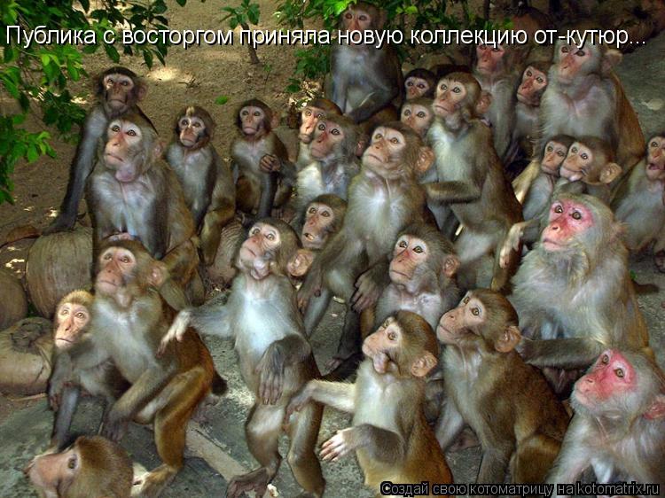 Публика с восторгом приняла новую коллекцию от-кутюр...... Котоматрица: Публика с восторгом приняла новую коллекцию от-кутюр...