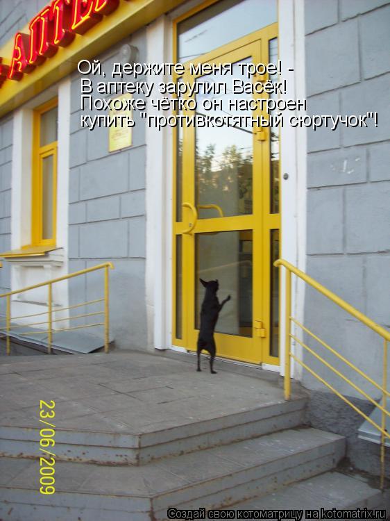 Котоматрица: купить "противкотятный сюртучок"! Похоже чётко он настроен В аптеку зарулил Васёк! Ой, держите меня трое! -