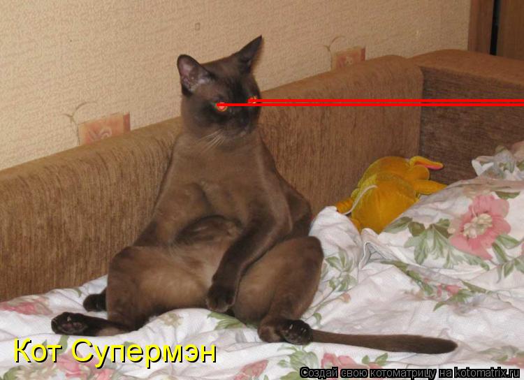 ___________________________ ___________________________ Кот Супермэн... Котоматрица: ___________________________ ___________________________ Кот Супермэн