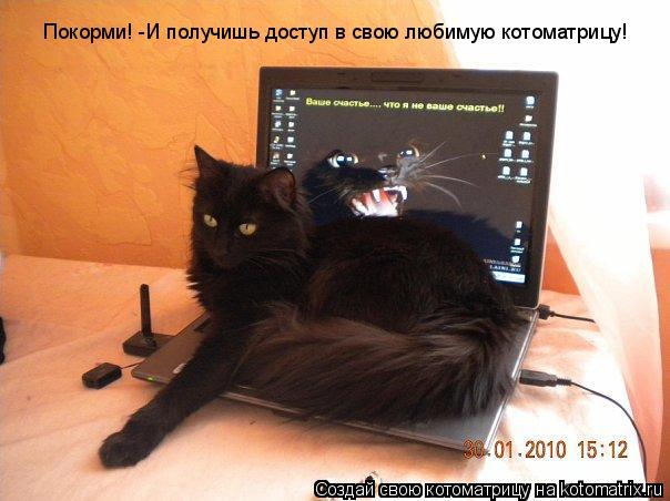 Покорми! -И получишь доступ в свою любимую котоматрицу!... Котоматрица: Покорми! -И получишь доступ в свою любимую котоматрицу!