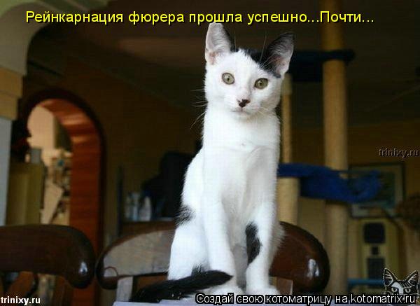 Рейнкарнация фюрера прошла успешно...Почти...... Котоматрица: Рейнкарнация фюрера прошла успешно...Почти...