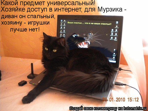 Какой предмет универсальный! Хозяйке доступ в интернет, для Мурзика - диван он спальный, хозяину - и... Котоматрица: Какой предмет универсальный! Хозяйке доступ в интернет, для Мурзика - диван он спальный, хозяину - игрушки лучше нет!