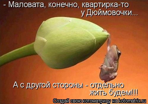- Маловата, конечно, квартирка-то у Дюймовочки... А с другой стороны - отдельно жить будем!!!... Котоматрица: - Маловата, конечно, квартирка-то у Дюймовочки... А с другой стороны - отдельно жить будем!!!