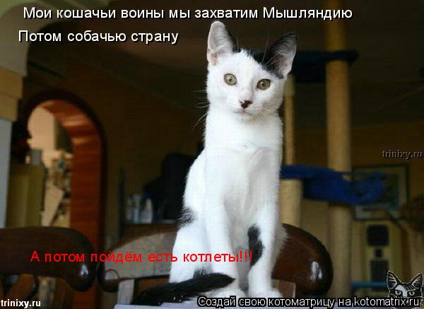 Мои кошачьи воины мы захватим Мышляндию Потом собачью страну А потом пойдём есть котлеты!!!... Котоматрица: Мои кошачьи воины мы захватим Мышляндию Потом собачью страну А потом пойдём есть котлеты!!!