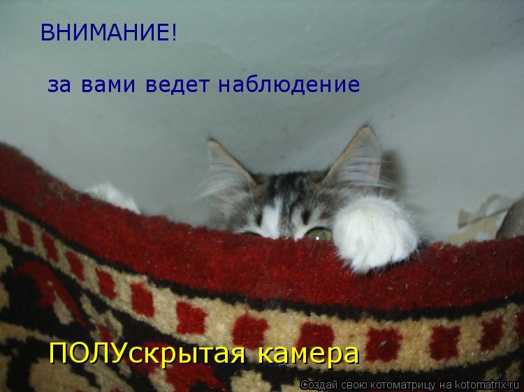 ВНИМАНИЕ! за вами ведет наблюдение ПОЛУскрытая камера... Котоматрица: ВНИМАНИЕ! за вами ведет наблюдение ПОЛУскрытая камера