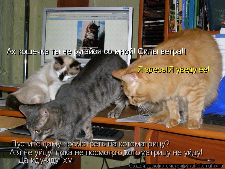 Пустите даму посмотреть на котоматрицу? А я не уйду! пока не посмотрю котоматрицу не уйду! Ах кошечка... Котоматрица: Пустите даму посмотреть на котоматрицу? А я не уйду! пока не посмотрю котоматрицу не уйду! Ах кошечка ты не ругайся со мной! Силы ветра!! Я зде