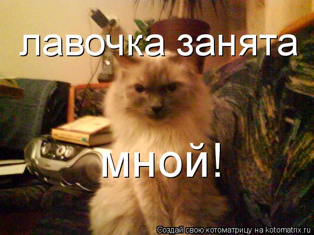 лавочка занята мной!... Котоматрица: лавочка занята мной!