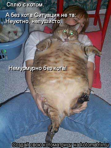 А без кота Ситуация не та: Сплю с котом. Неуютно, непушисто, Немурмурно без кота!... Котоматрица: А без кота Ситуация не та: Сплю с котом. Неуютно, непушисто, Немурмурно без кота!