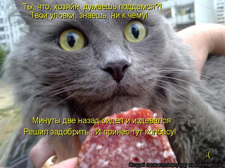 Ты, что, хозяйн, думаешь поддамся?! Твои уловки, знаешь, ни к чему! Минуты две назад сидел и издевалс... Котоматрица: Ты, что, хозяйн, думаешь поддамся?! Твои уловки, знаешь, ни к чему! Минуты две назад сидел и издевался Решил задобрить...И принес тут колбасу! :(