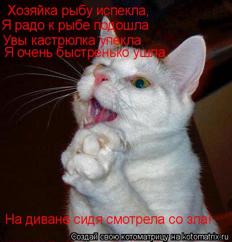 Хозяйка рыбу испекла, Я радо к рыбе подошла Увы кастрюлка упекла На диване сидя смотрела со зла! Я о... Котоматрица: Хозяйка рыбу испекла, Я радо к рыбе подошла Увы кастрюлка упекла На диване сидя смотрела со зла! Я очень быстренько ушла