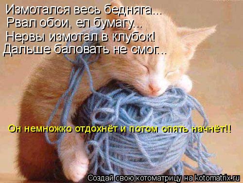 Измотался весь бедняга... Рвал обои, ел бумагу... Нервы измотал в клубок! Дальше баловать не смог... ... Котоматрица: Измотался весь бедняга... Рвал обои, ел бумагу... Нервы измотал в клубок! Дальше баловать не смог... Он немножко отдохнёт и потом опять начнёт!!
