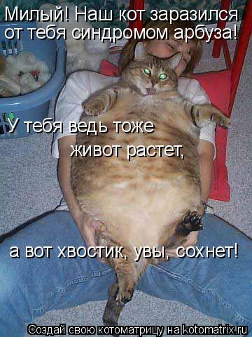 Милый! Наш кот заразился от тебя синдромом арбуза! У тебя ведь тоже живот растет, а вот хвостик, ув... Котоматрица: Милый! Наш кот заразился от тебя синдромом арбуза! У тебя ведь тоже живот растет, а вот хвостик, увы, сохнет!