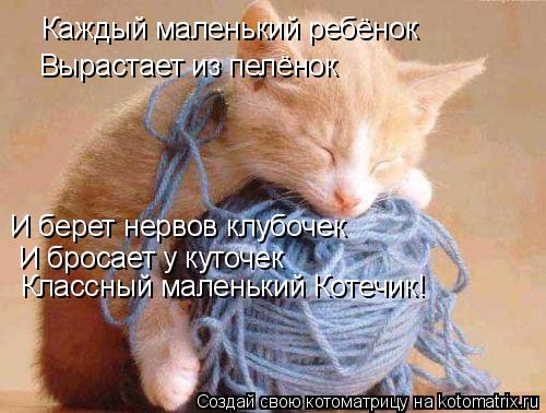 Каждый маленький ребёнок Вырастает из пелёнок И берет нервов клубочек И бросает у куточек Классны... Котоматрица: Каждый маленький ребёнок Вырастает из пелёнок И берет нервов клубочек И бросает у куточек Классный маленький Котечик!