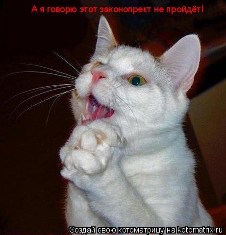 А я говорю этот законопрект не пройдёт!... Котоматрица: А я говорю этот законопрект не пройдёт!