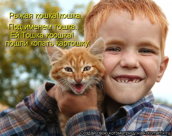 Рыжая кошка!кошка.. Под именем тошка.. Ей Тошка крошка! пошли копать картошку!... Котоматрица: Рыжая кошка!кошка.. Под именем тошка.. Ей Тошка крошка! пошли копать картошку!