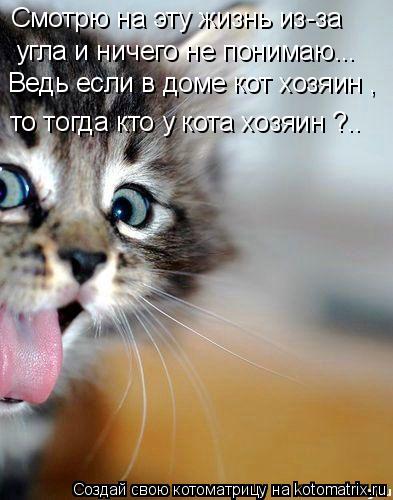 Смотрю на эту жизнь из-за угла и ничего не понимаю... то тогда кто у кота хозяин ?.. Ведь если в доме... Котоматрица: Смотрю на эту жизнь из-за угла и ничего не понимаю... то тогда кто у кота хозяин ?.. Ведь если в доме кот хозяин ,