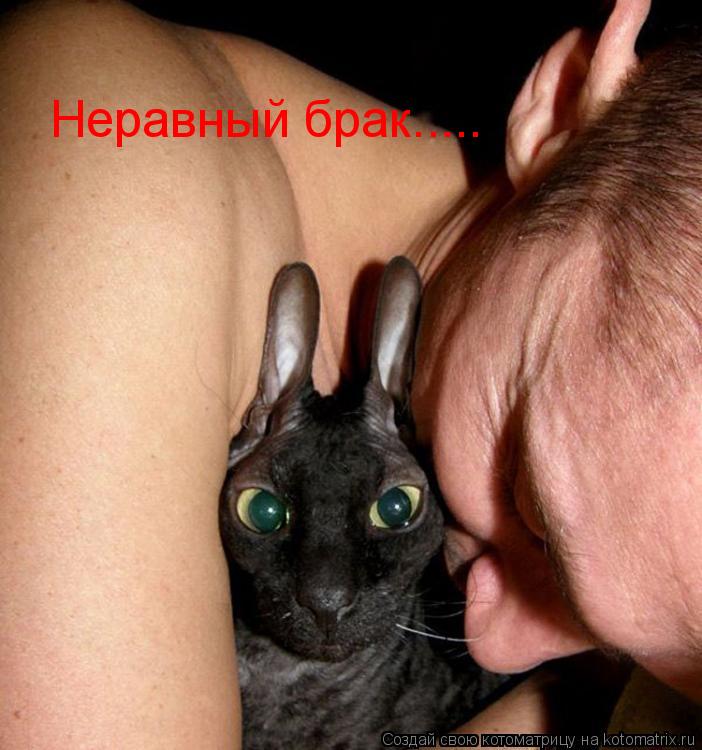 Неравный брак........ Котоматрица: Неравный брак.....