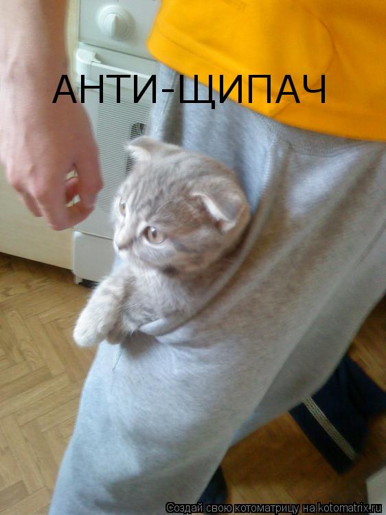 АНТИ-ЩИПАЧ... Котоматрица: АНТИ-ЩИПАЧ