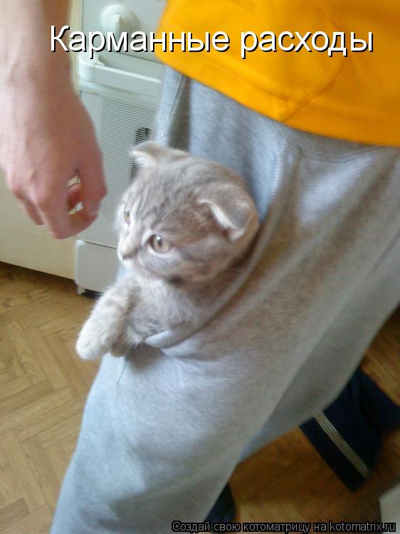 Котоматрица: Карманные расходы